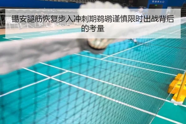 锡安腿筋恢复步入冲刺期鹈鹕谨慎限时出战背后的考量